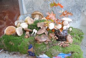 Ob gobarski evforiji je bila tudi razstava bogata 2